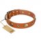 "Visual Magic" FDT Artisan Tan Leather Golden Retriever Collar for Daily Activities