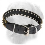 "Caterpillar" Leather Golden Retriever Collar with Brass Dotted Studs