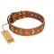 "Crystal Sand" FDT Artisan Tan Leather Golden Retriever Collar with Vintage Looking Oval and Round Studs