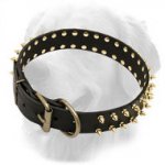 Designer Leather Golden Retriever Collar with Brass Spikes