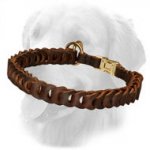 Golden Retriever Choke Leather Collar Braided