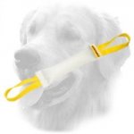Fire Hose Golden Retriever Bite Tug with Easy to Grab Handles
