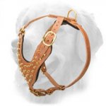 Designer Leather Golden Retriever Harness with Brass-Plated Spikes