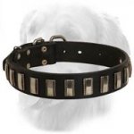 Vintage Design Leather Collar with Nickel Plates