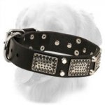 Leather Golden Retriever Collar with Nickel Plates and Cones