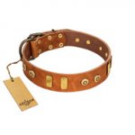 "Egyptian Script" FDT Artisan Tan Leather Golden Retriever Collar with Plates and Small Studs