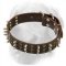 Golden Retriever Leather Collar Spikes Studs