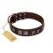 "Needle Stories" Modern FDT Artisan Brown Leather Golden Retriever Collar with Square Engraved Plates and Four-Point Stars