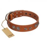 "Splendid Armor" Premium Quality FDT Artisan Tan Designer Golden Retriever Collar with Shields and Stars