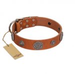 "Foxy Nature" FDT Artisan Tan Leather Golden Retriever Collar with Chrome Plated Brooches