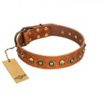 "Prez of the Pack" FDT Artisan Tan Leather Golden Retriever Collar with Skulls and Brooches