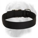 Minimalistic Design Waterproof Nylon Collar