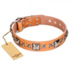 "Glamour Finery" FDT Artisan Female Golden Retriever collar of natural leather with stylish old-looking circles
