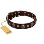 "Snazzy Paws" FDT Artisan Brown Leather Golden Retriever Collar Adorned with Conchos and Medallions