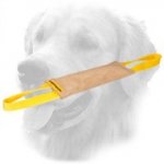 Leather Golden Retriever Bite Tug with Two Handles