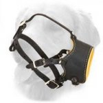 Snout Shot Leather Muzzle with Nappa Padding