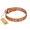 "Extra Sparkle" FDT Artisan Handcrafted Tan Leather Golden Retriever Collar