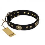 "High Fashion" FDT Artisan Studded with Plates Black Leather Golden Retriever Collar