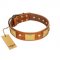 "Mutt The Daredevil" FDT Artisan Tan Leather Golden Retriever Collar with Old Bronze-like Skulls and Plates