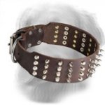 Leather Golden Retriever Collar with Spikes and Studs