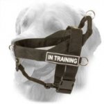 Multifunctional Nylon Golden Retriever Harness with ID Patches