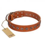 "Star Trek" FDT Artisan Tan Leather Golden Retriever Collar Decorated with Stars