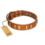 "Olive Slice" FDT Artisan Tan Leather Golden Retriever Collar with Engraved and Smooth Plates