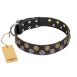 "Romantic Breeze" FDT Artisan Black Leather Golden Retriever Collar with Sparkling Circles