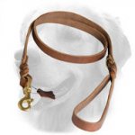 Elegant Design Leather Golden Retriever Leash