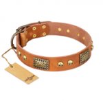 "Saucy Nature" FDT Artisan Tan Leather Golden Retriever Collar with Old Bronze Look Plates and Skulls