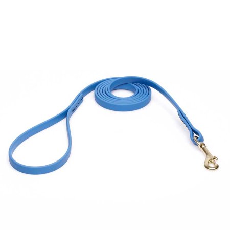 Amazing Blue Biothane Golden Retriever Leash for Walking, Tracking