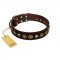 "Street Fashion" FDT Artisan Brown Leather Golden Retriever Collar Adorned with Circles and Skulls