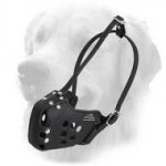 Leather Golden Retriever Muzzle for Police and Military Service