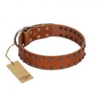 "Star Light" Stylish FDT Artisan Tan Leather Golden Retriever Collar with Silver-Like Studs