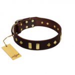 "Blinking Illusion" FDT Artisan Brown Leather Golden Retriever Collar with Old Bronze-like Studs and Plates