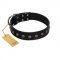 "Flower Rhapsody" FDT Artisan Premium Quaulity Black Leather Golden Retriever Collar