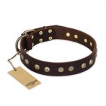 "Bronze Sheen" FDT Artisan Leather Golden Retriever Collar with Brass-Plated Studs