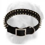 Unique Design Spiked Nylon Collar for Golden Retrievers