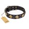 "Fancy-Schmancy" FDT Artisan Studded Leather Golden Retriever Collar