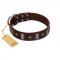 "War Chief" FDT Artisan Genuine Brown Leather Golden Retriever Collar with Skulls and Plates