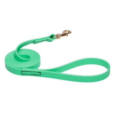 Green Waterproof Golden Retriever Leash Made of Biothane