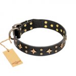 "A La Mode" FDT Artisan Handcrafted Black Leather Golden Retriever Collar