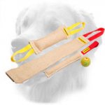Jute Golden Retriever Bite Training Set of (4 Dog Items)