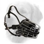Durable And Comfortable Muzzle For Adventures