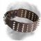 Leather Golden Retriever Collar with Spikes and Studs