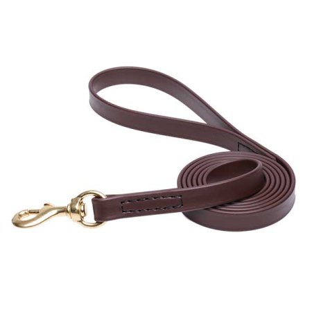Brown Waterproof Golden Retriever Leash Made of Biothane