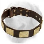 Handcrafted Leather Dog Collar With Vintage Massive Plates