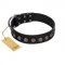 "Silent Star" Handmade FDT Artisan Designer Black Leather Golden Retriever Collar with Engraved Plates