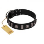 "Silver Spikes" Exclusive FDT Artisan Black Leather Golden Retriever Collar