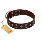 "Brown Shadow" Designer Handmade FDT Artisan Brown Leather Golden Retriever Collar